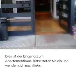 Alpenschwaenchen 4 - Saalachschwaenchen *
