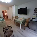 Apartman Alpenschwaenchen 4 - Saalachschwaenchen