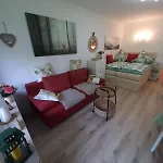 Apartman Alpenschwaenchen 4 - Saalachschwaenchen