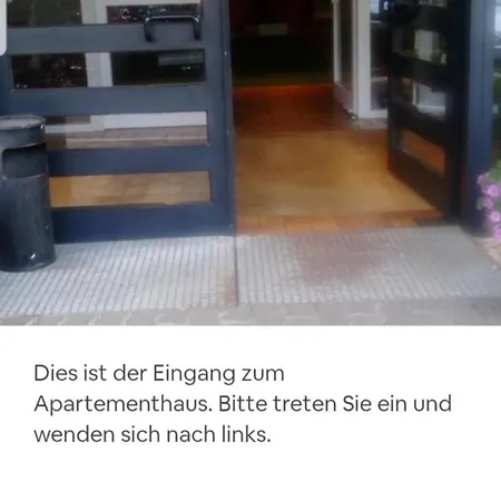 Alpenschwaenchen 4 - Saalachschwaenchen *