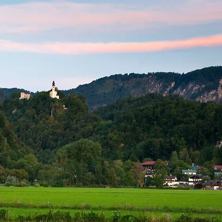 Alpenschwaenchen 4 - Saalachschwaenchen *