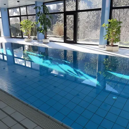 Apartment Alpenschwaenchen 4 - Saalachschwaenchen *