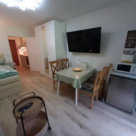 Apartment Alpenschwaenchen 4 - Saalachschwaenchen