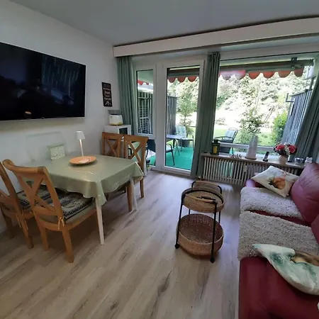 Alpenschwaenchen 4 - Saalachschwaenchen 아파트 *