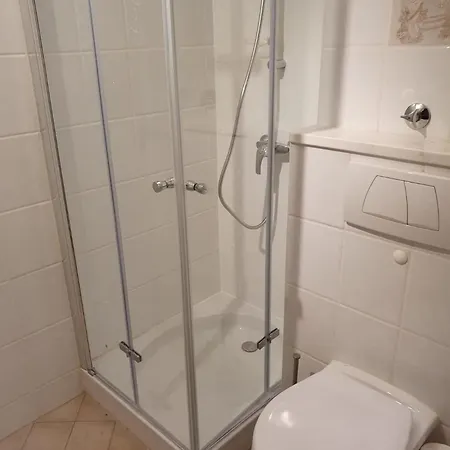 아파트 Alpenschwaenchen 4 - Saalachschwaenchen 바트라이셴할