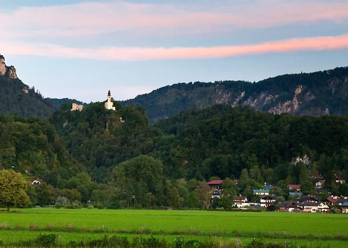 Alpenschwaenchen 4 - Saalachschwaenchen *